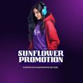 Sunflower Promotion - Discofox & Schlager Sender-Logo
