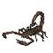 Skorpion Radio
