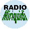 Radio Miriquidi
